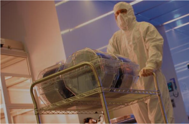 澳门管家婆三期必出一期